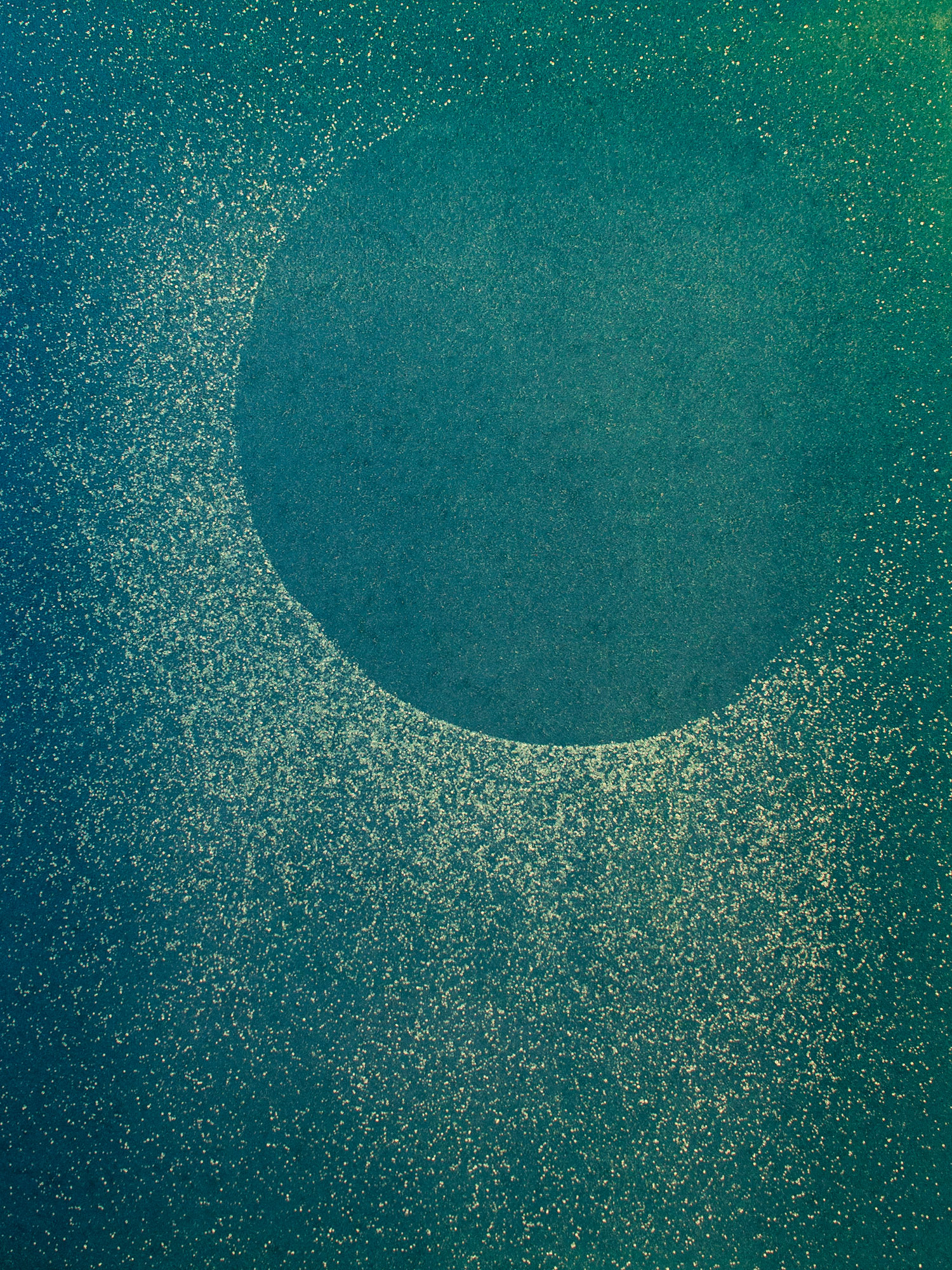 Membrane # 20 - Anna Hoffmann 1