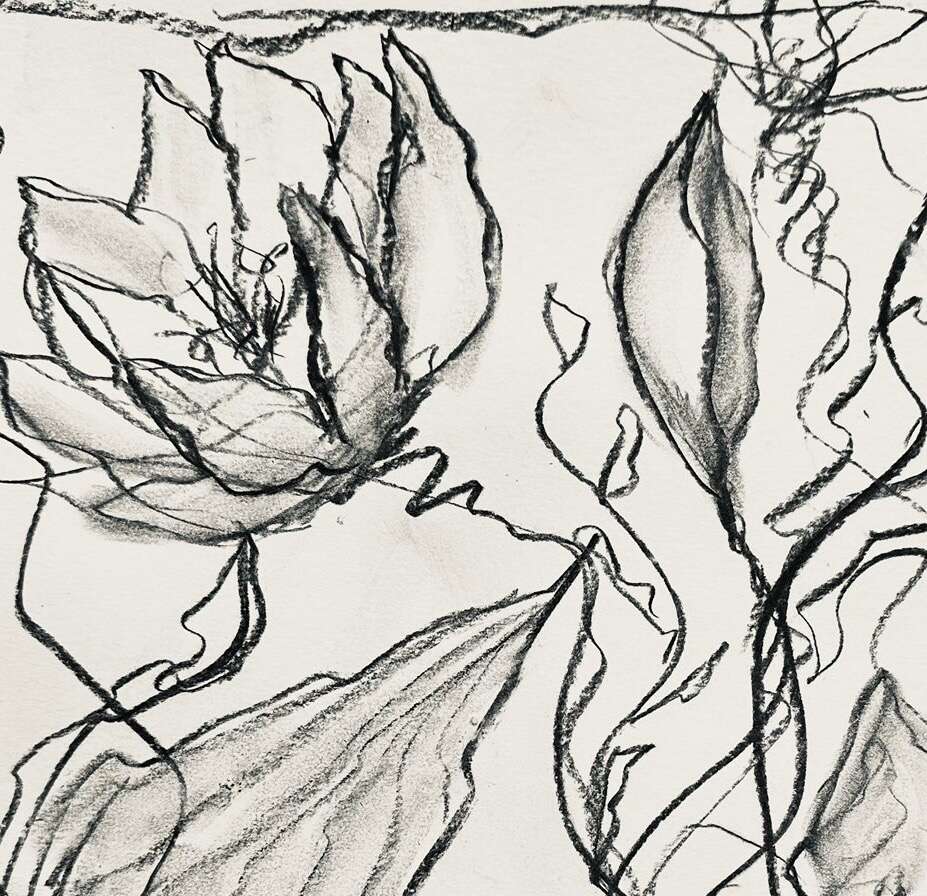 Waterlilies Move 1 - Martina  Schepperle  3