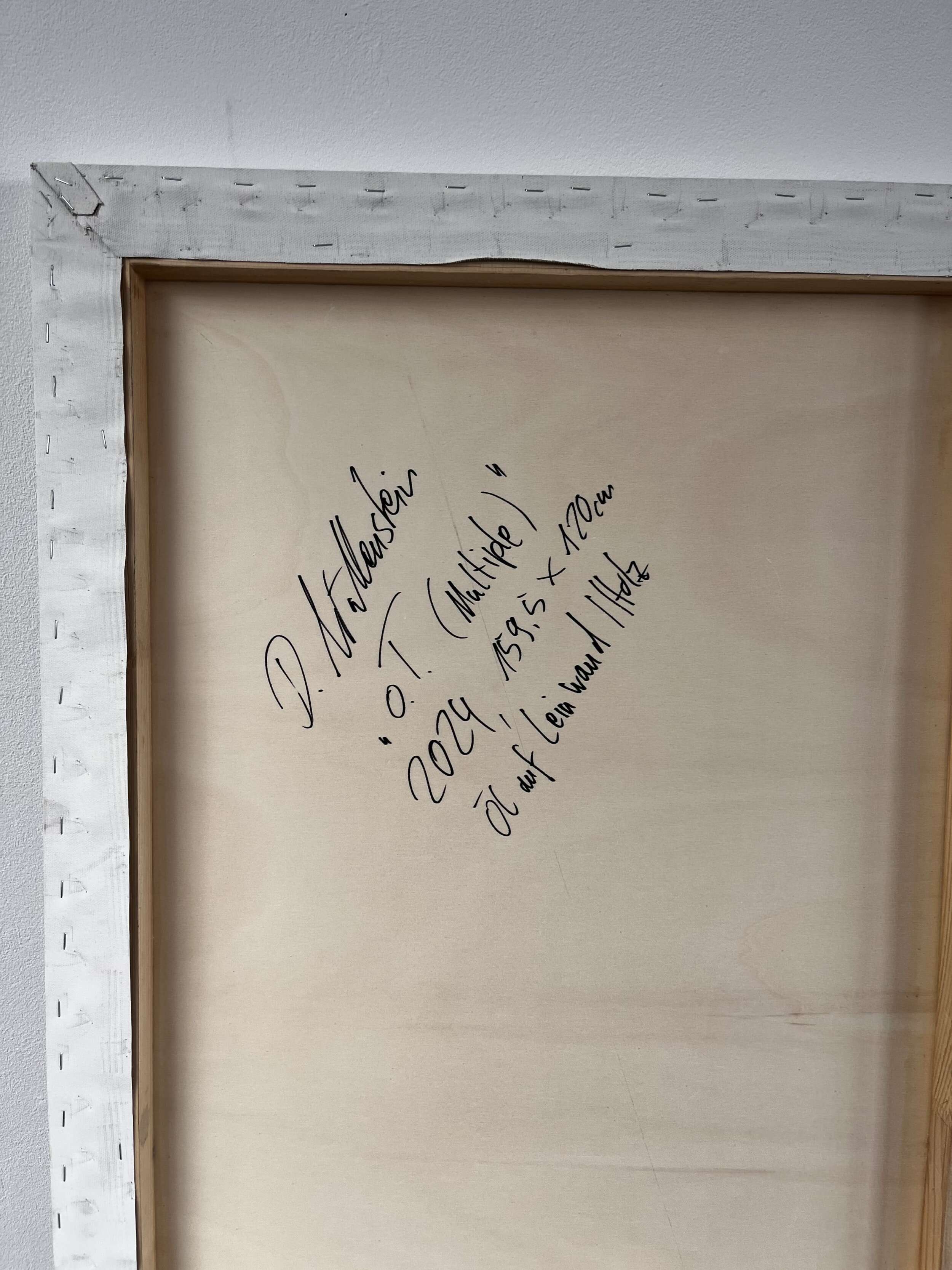 o.T. (Multiple) - Daniel Wöllenstein  6