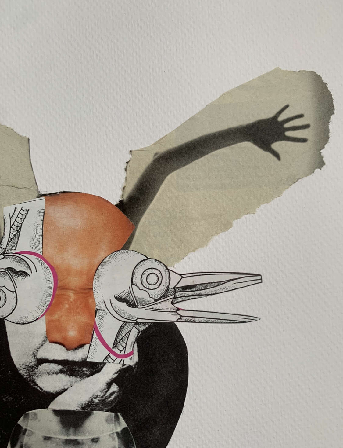 Isorropia - Fabian Wendel 3