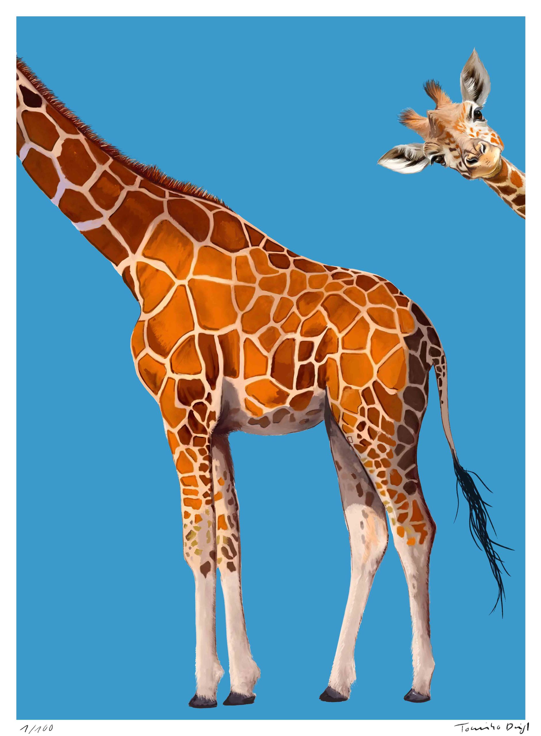 Bonjour bleu! - Toninho Dingl 1