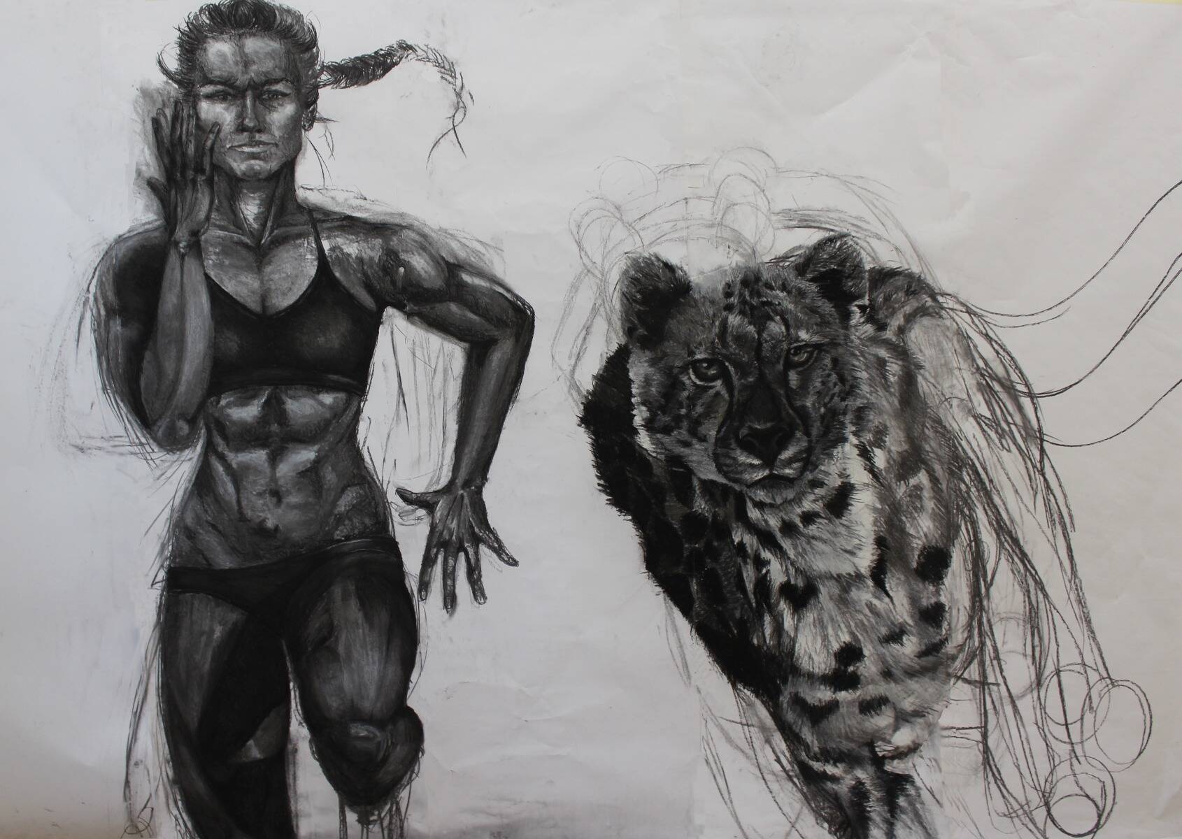 Team (Sprinterin und Gepard) 