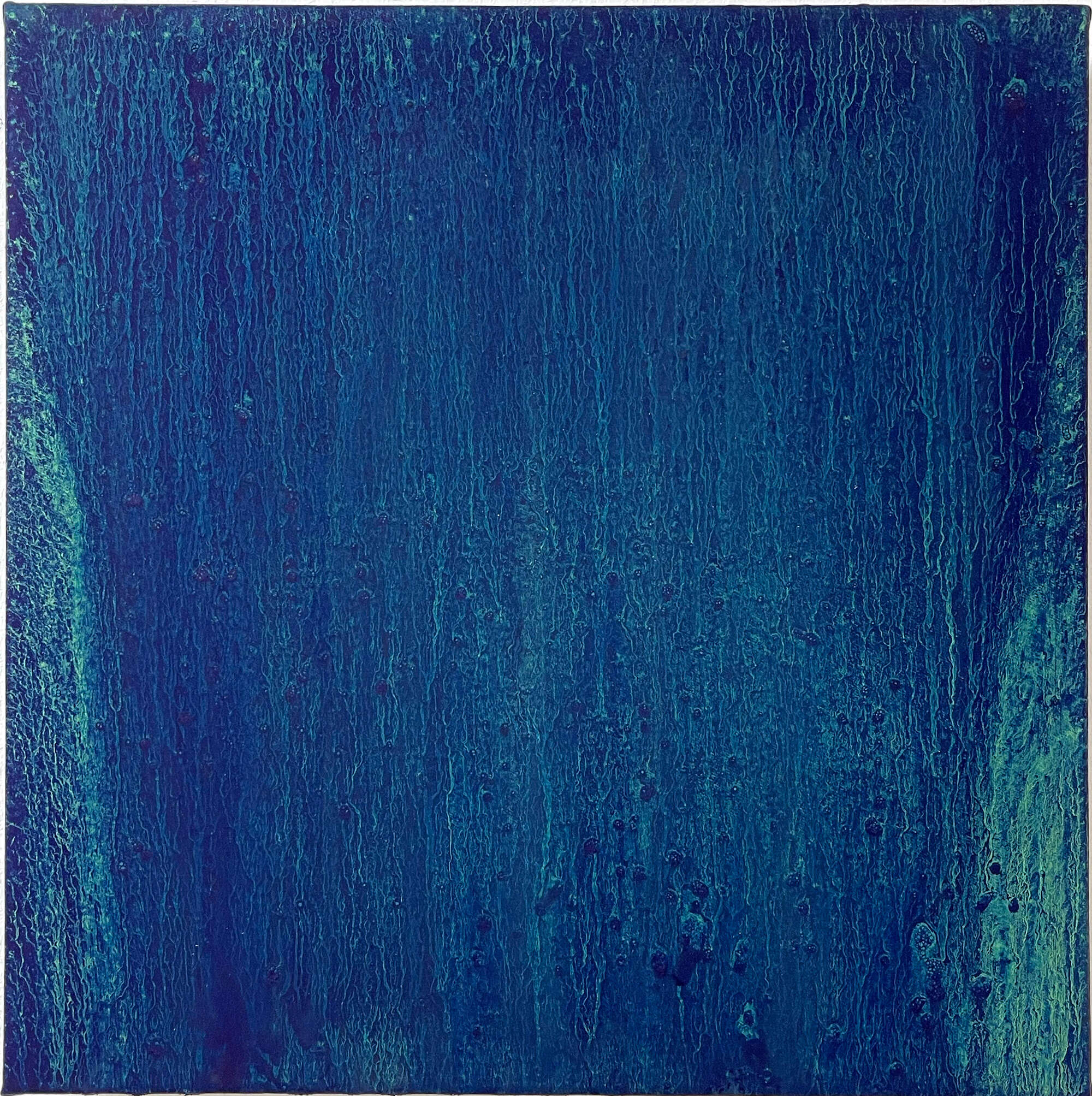 Moosnacht - Konstantin Lischkoff-Knecht 1