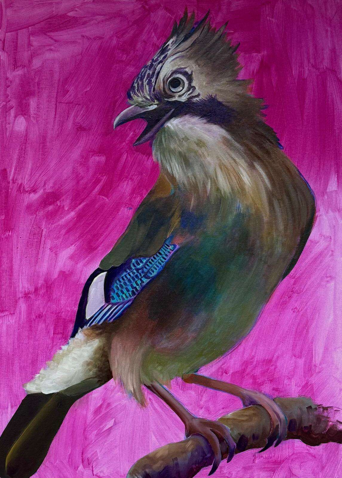 Eichelhäher - Laura Küpper 1