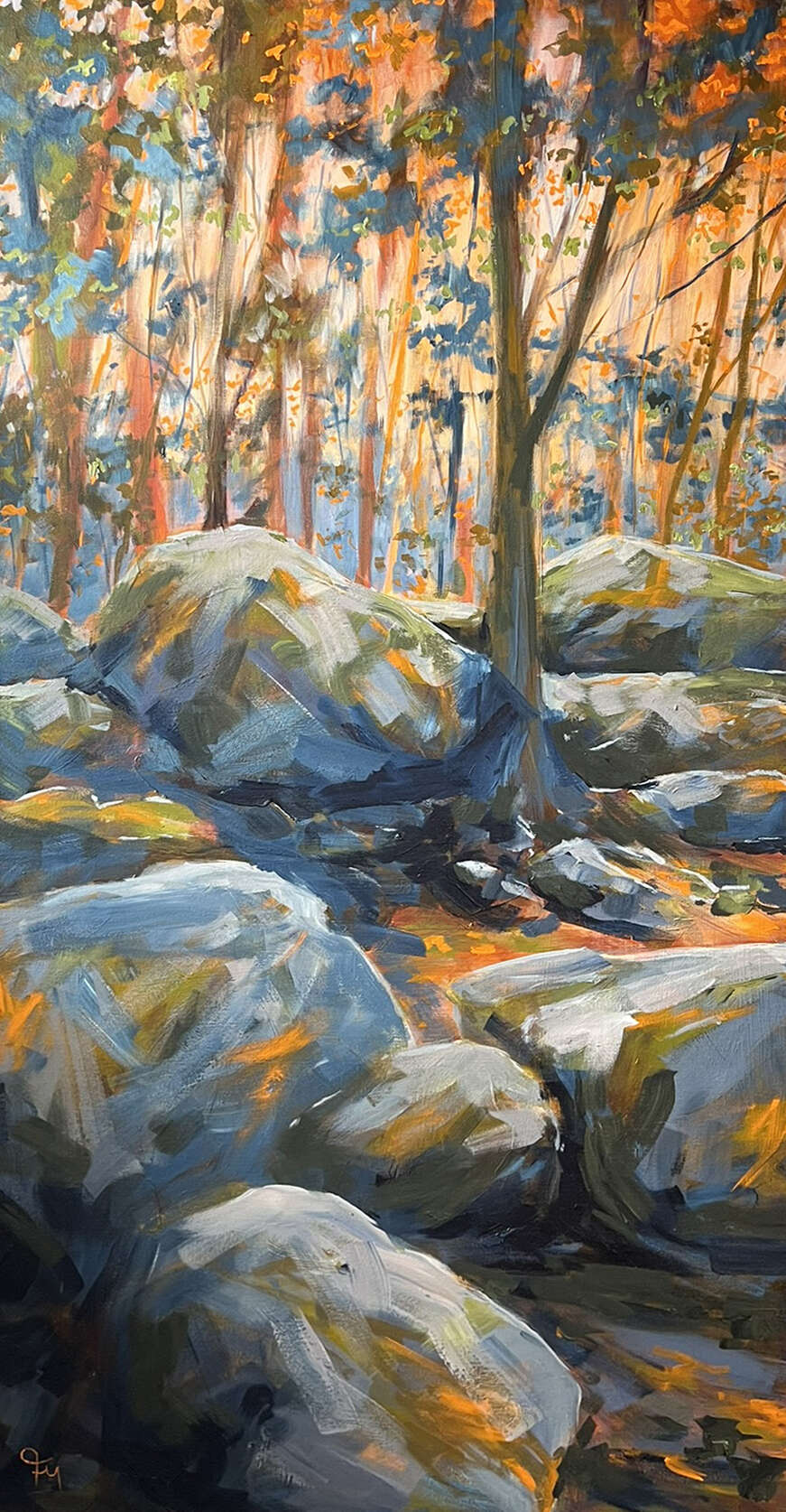 Zwischen Felsen und Licht - Melissa Faltermeier 1