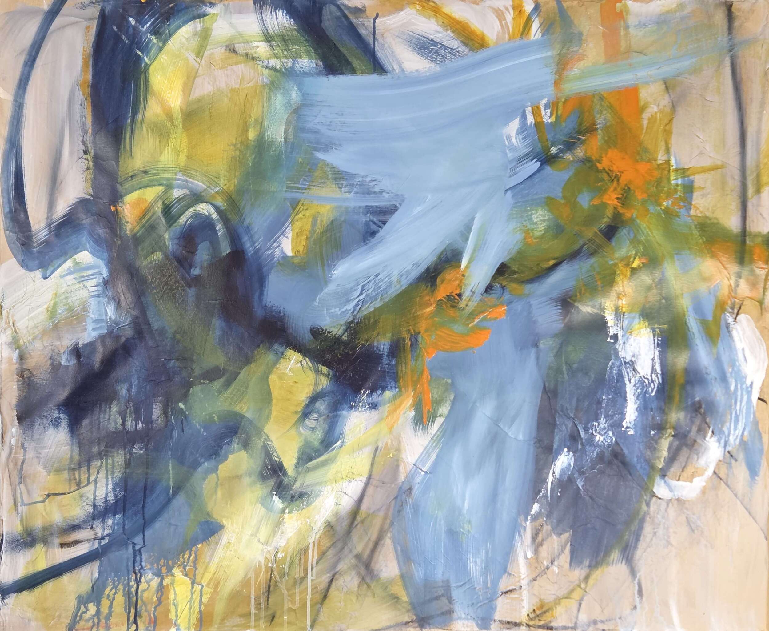 Opera 20-0225 - Vesna  Faiazza  5