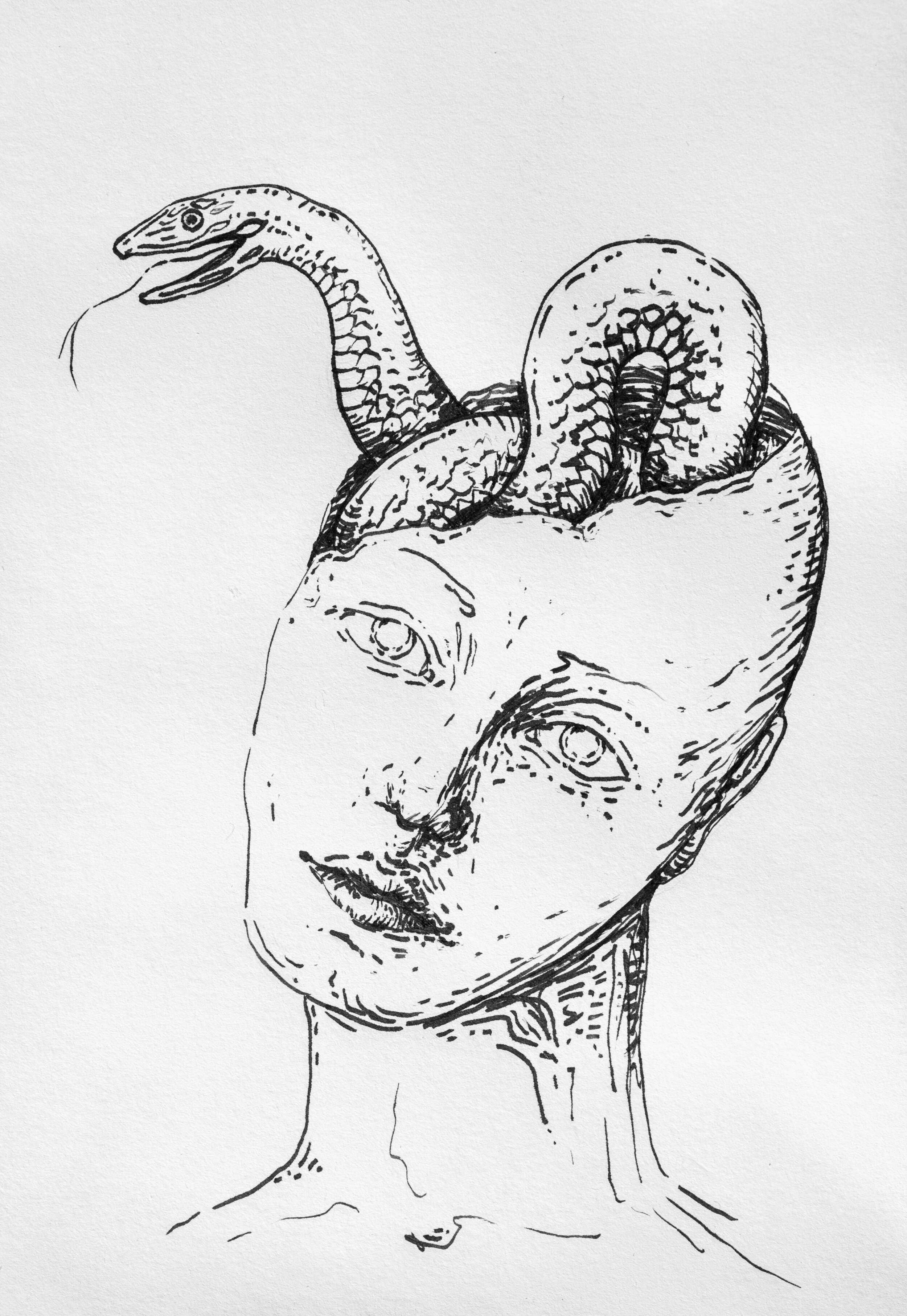 serpents - Alina Beck 1