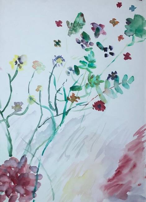 Stillleben Blumenwiese 