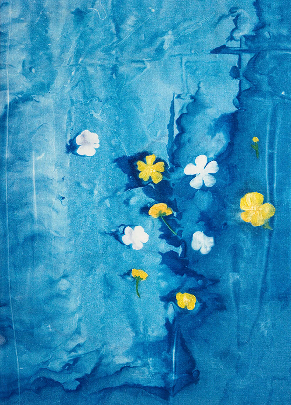 SÓLEY 5 - Maria-Magdalena Ianchis 1