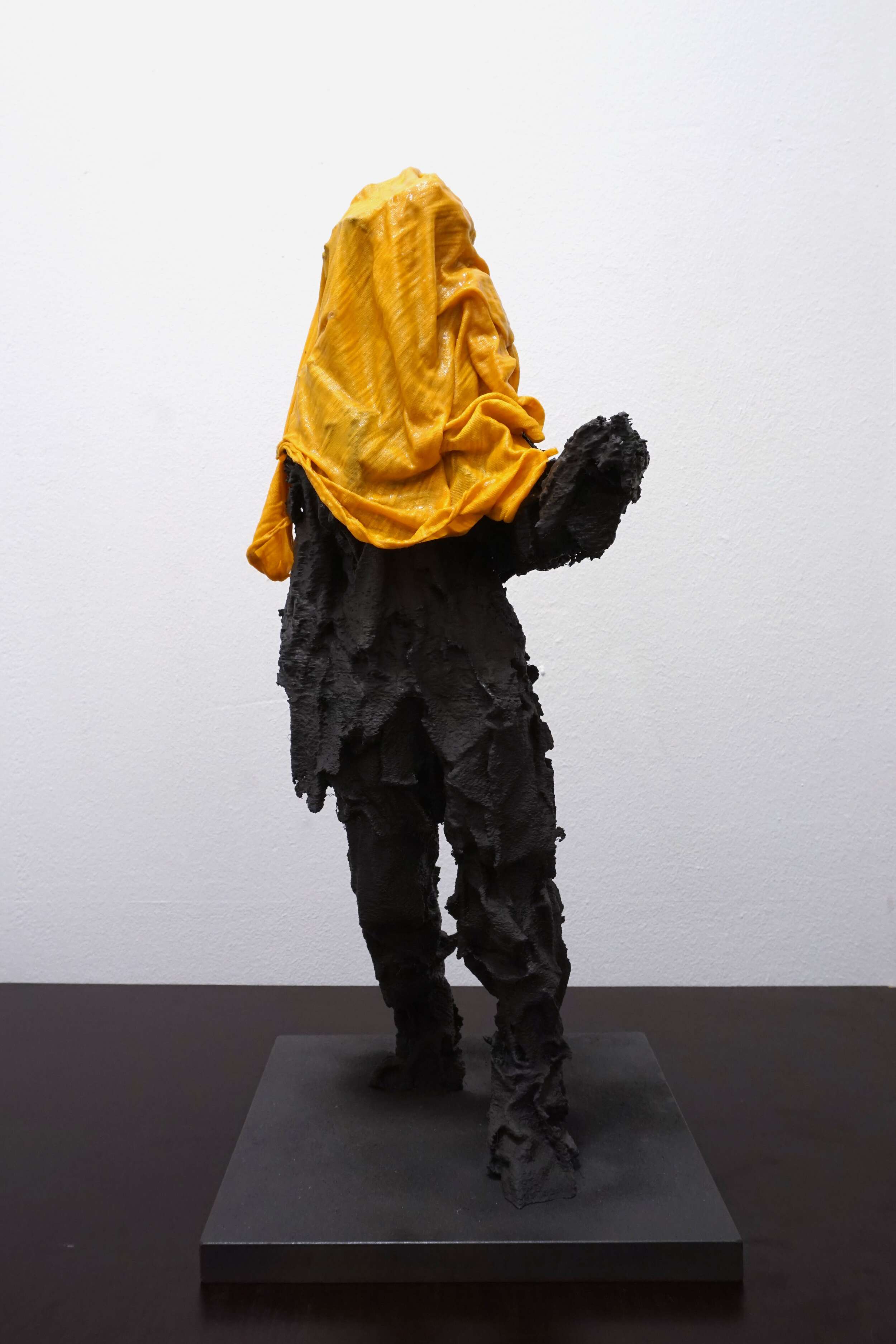 Schleichende Seuche - Dominik Ackermann 1