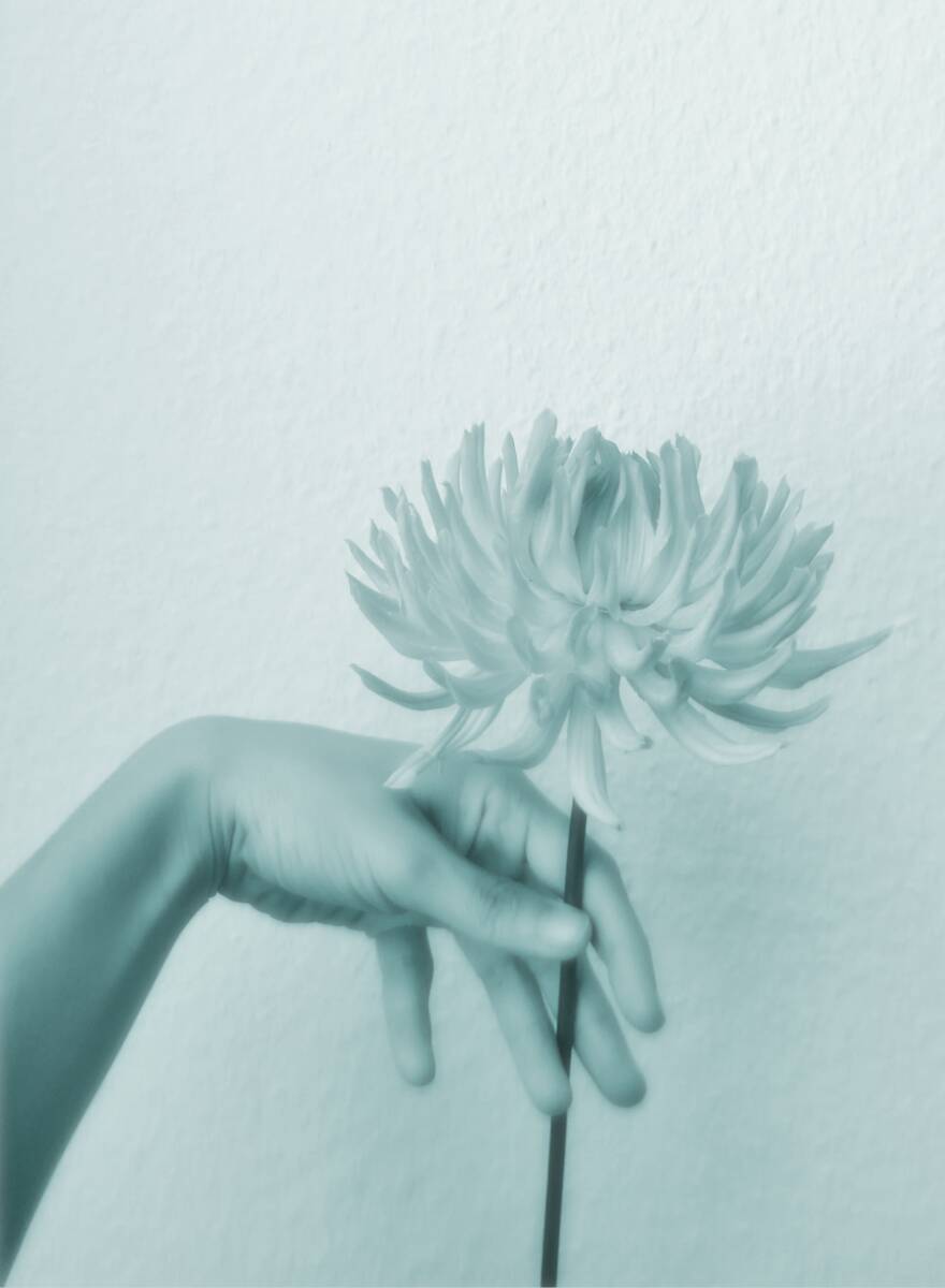 If you're feeling lonely I'll tell you you're my only