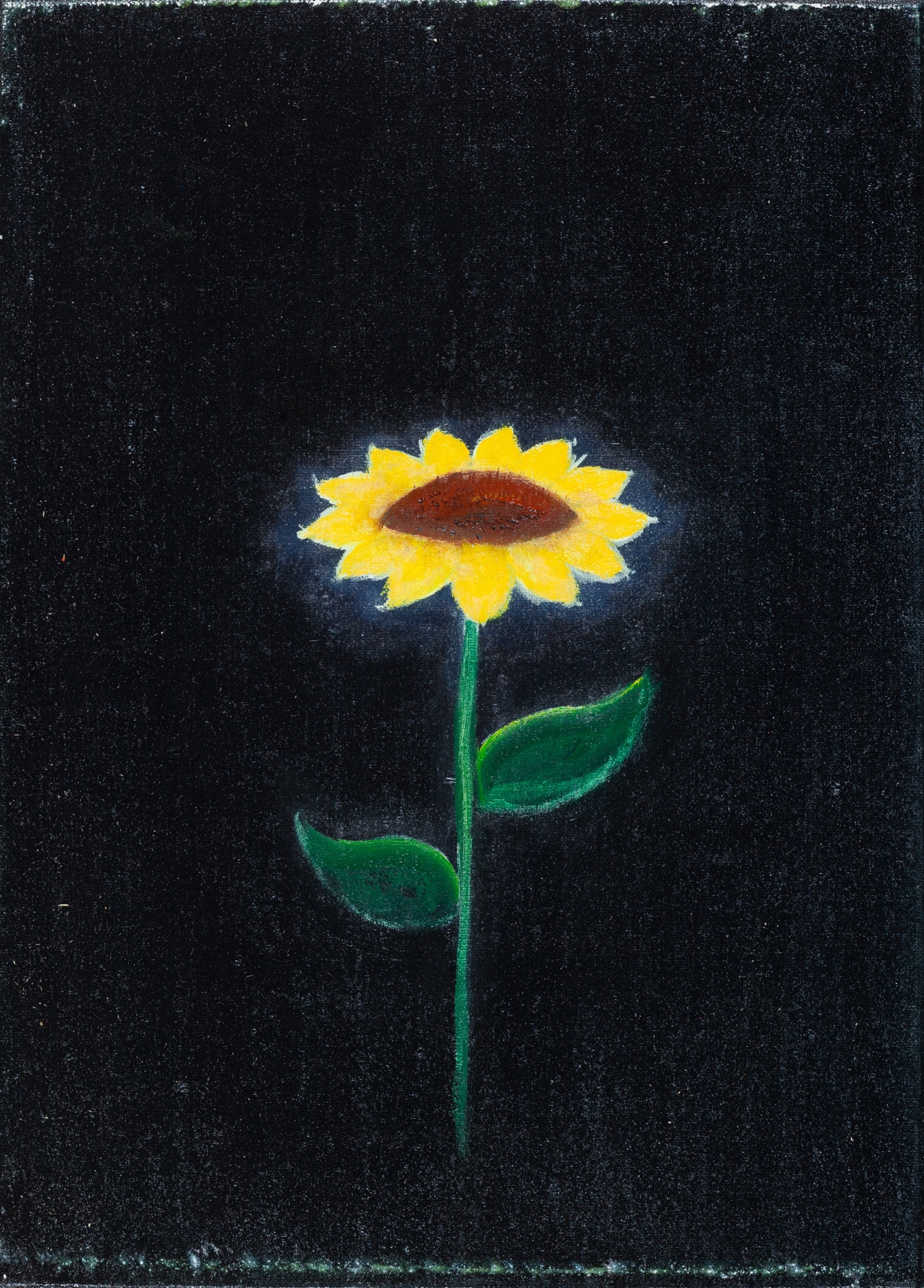 Statische Sonnenblume - Michael Tauschke 1