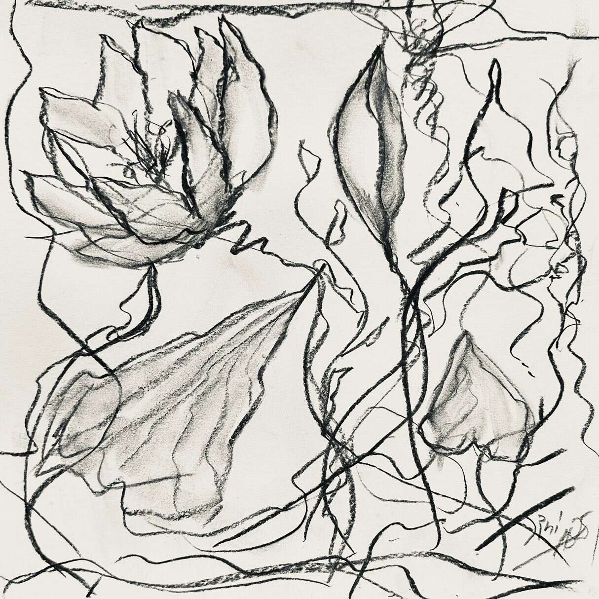 Waterlilies Move 1 - Martina  Schepperle  1