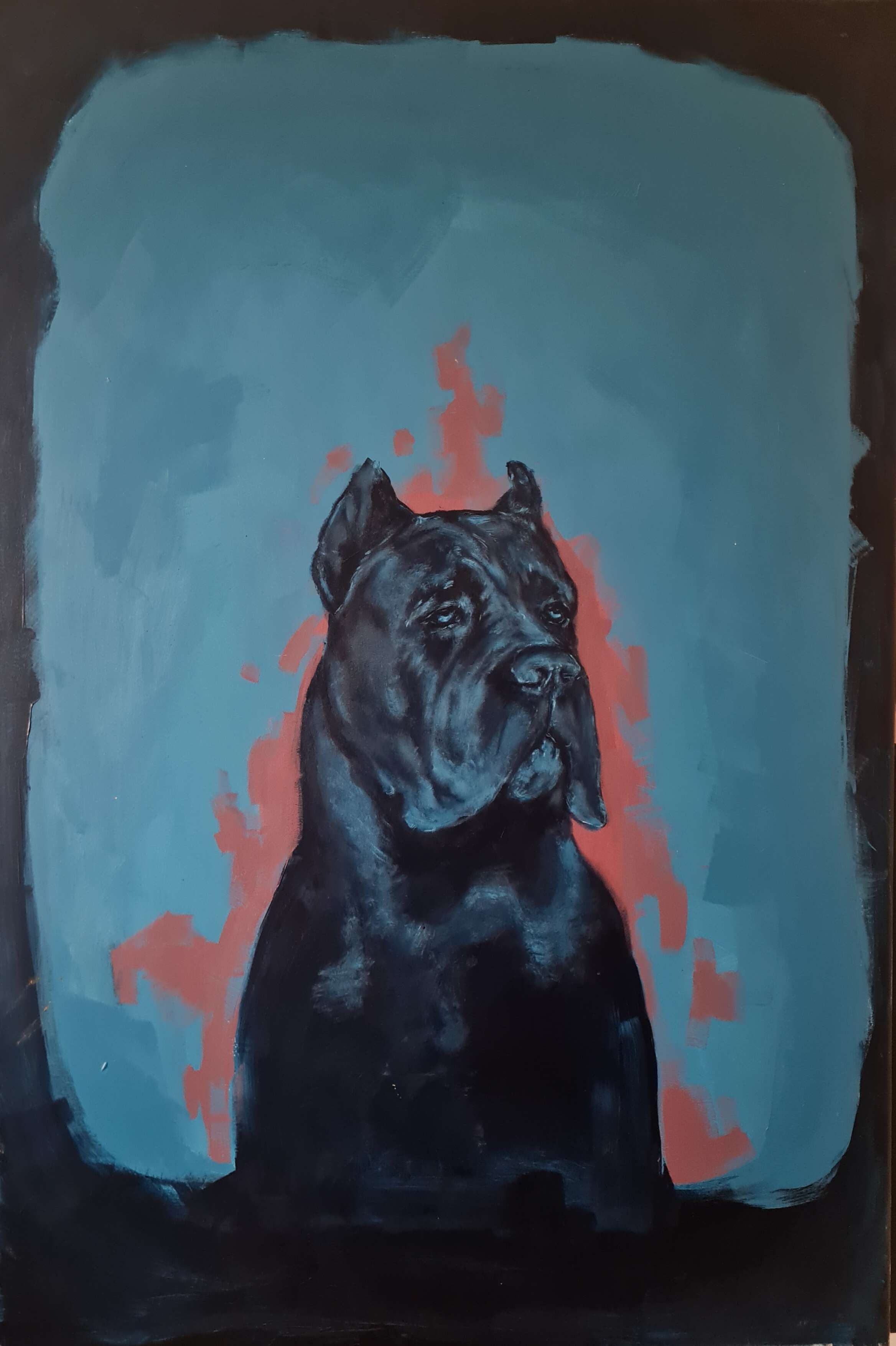 El cane - Kontrabanda 1