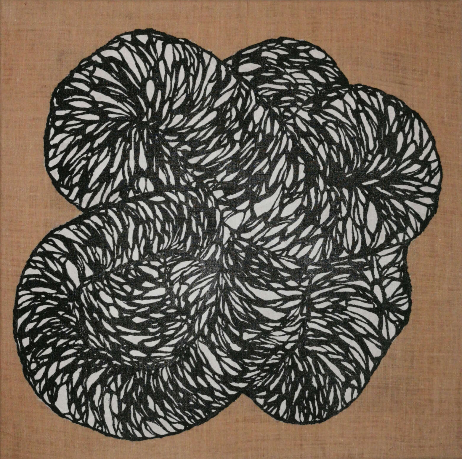 Membran  - Caro Enax 1