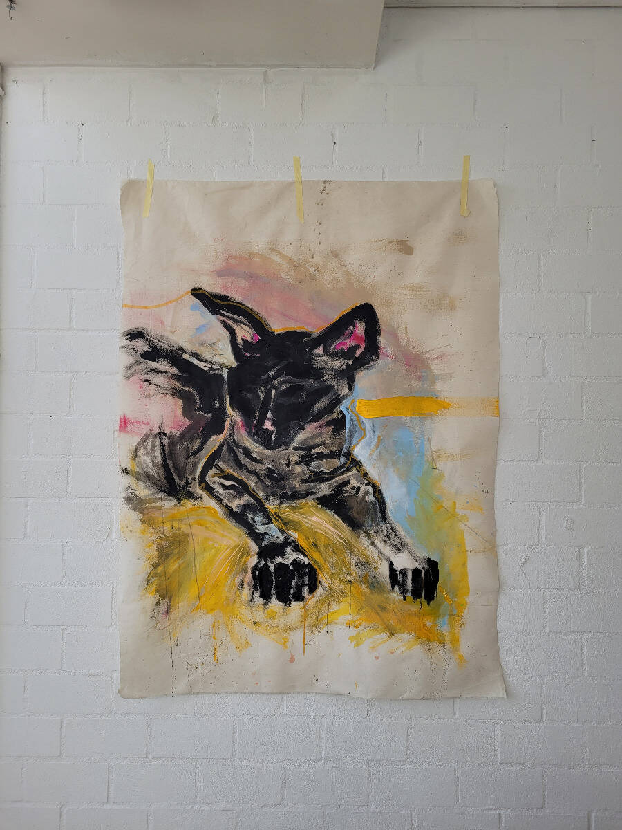 Nacktkatze auf gelber Decke