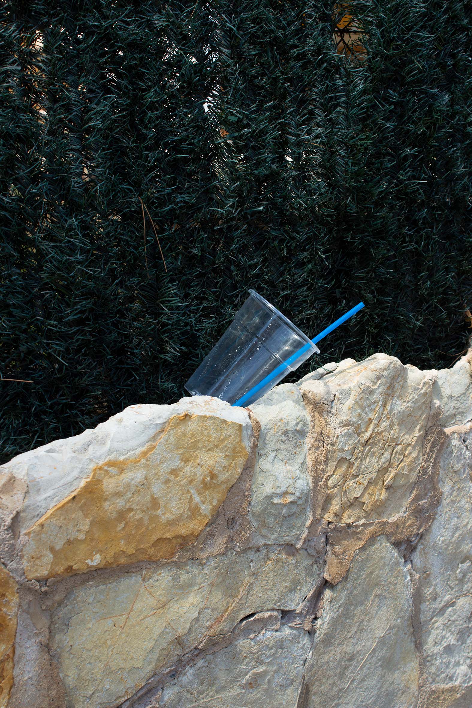 Anthropocene - Rebecca Häfner 1