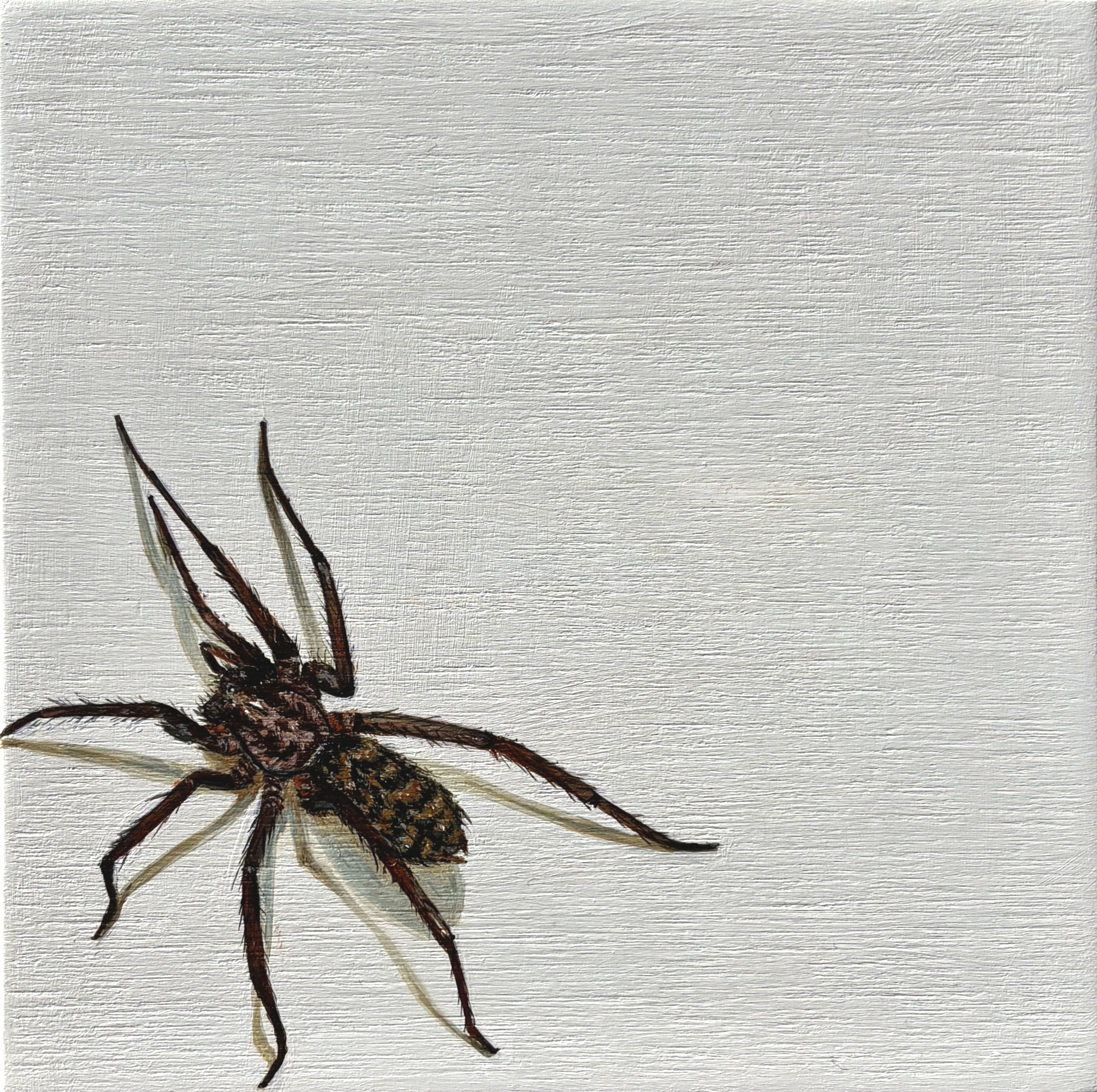 Tiny Terrors (Spider) - Louis Ortwein 1