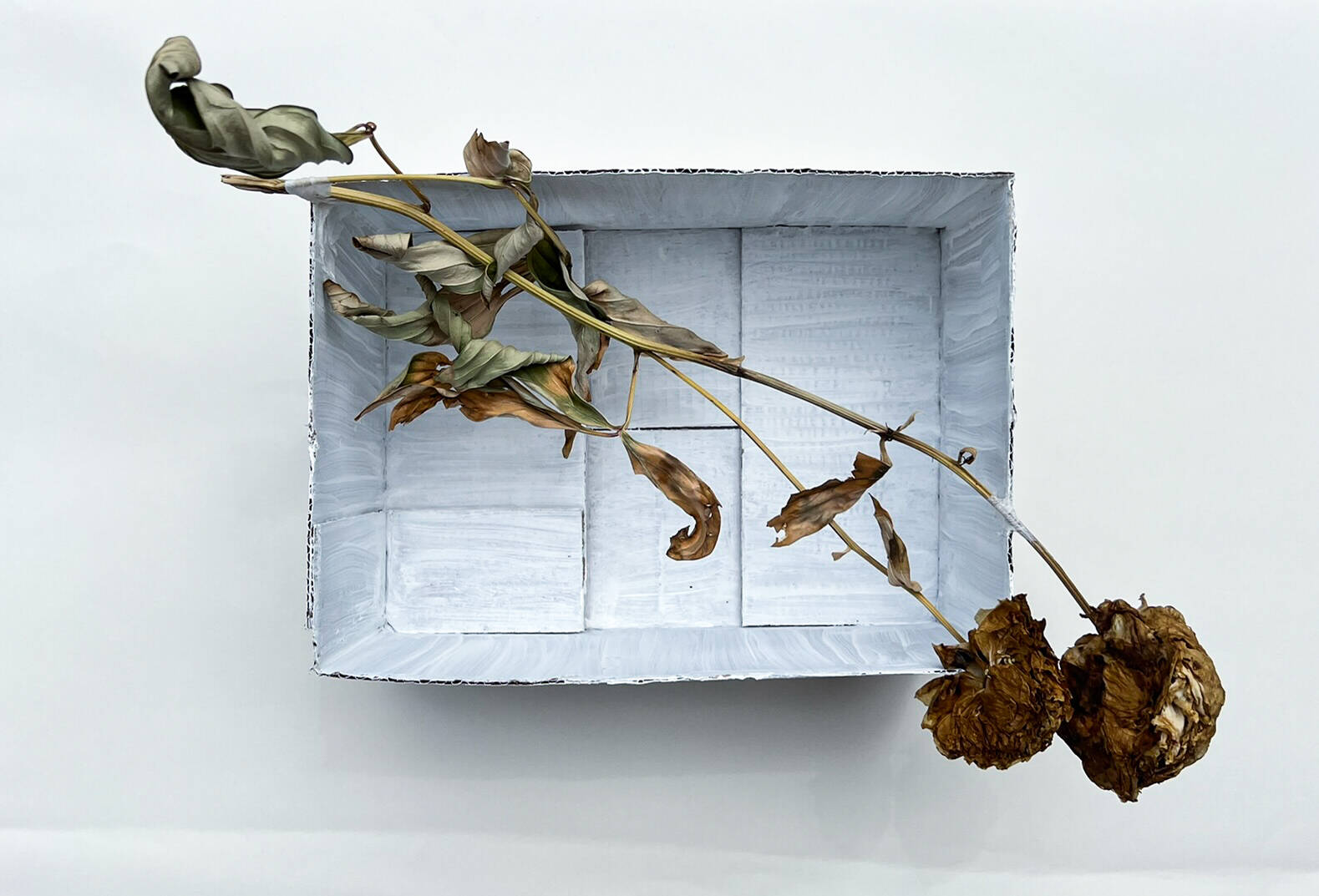 Verwelkte Schönheit