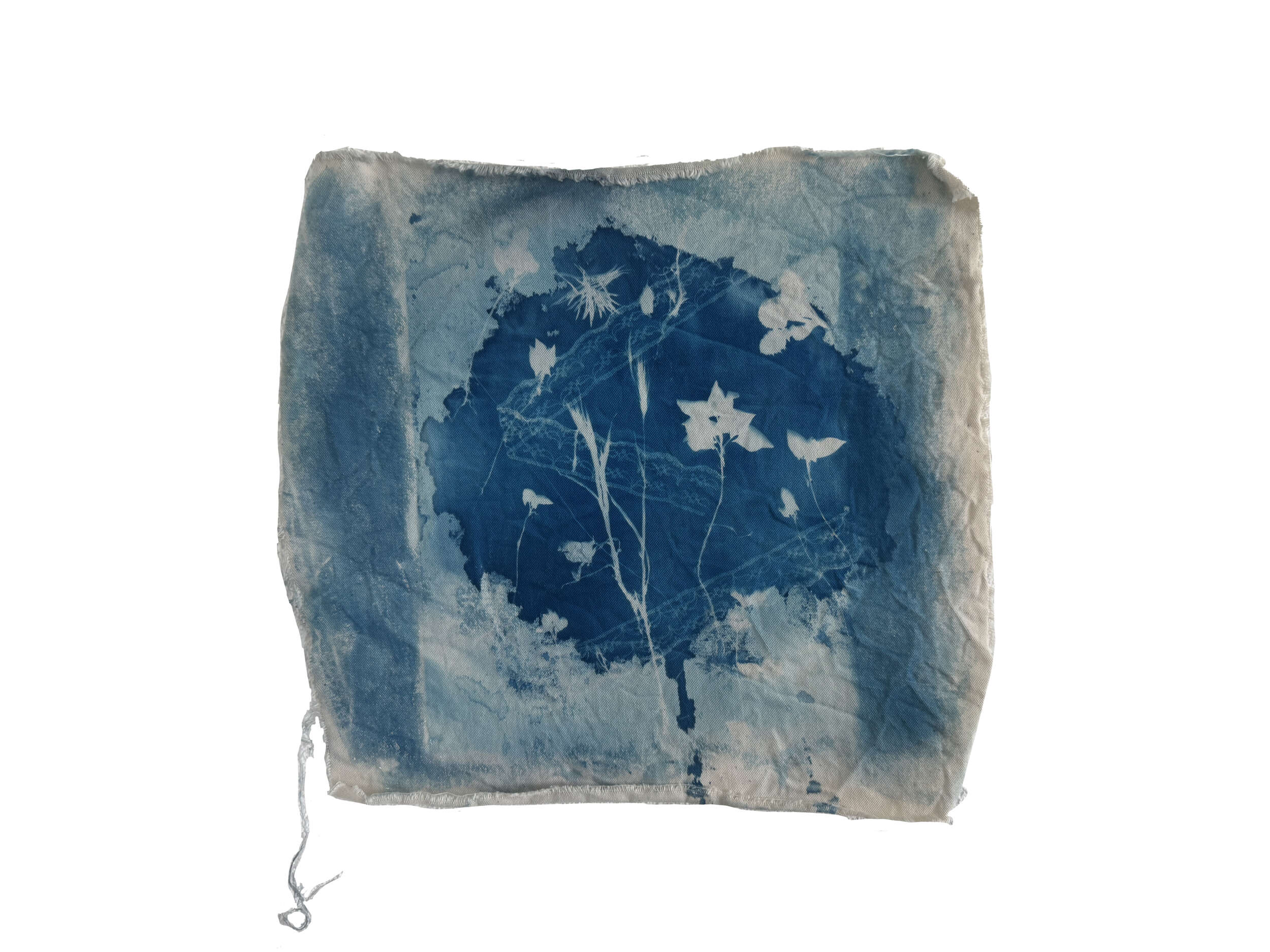 Ohne Titel - Katharina Büttgen 1