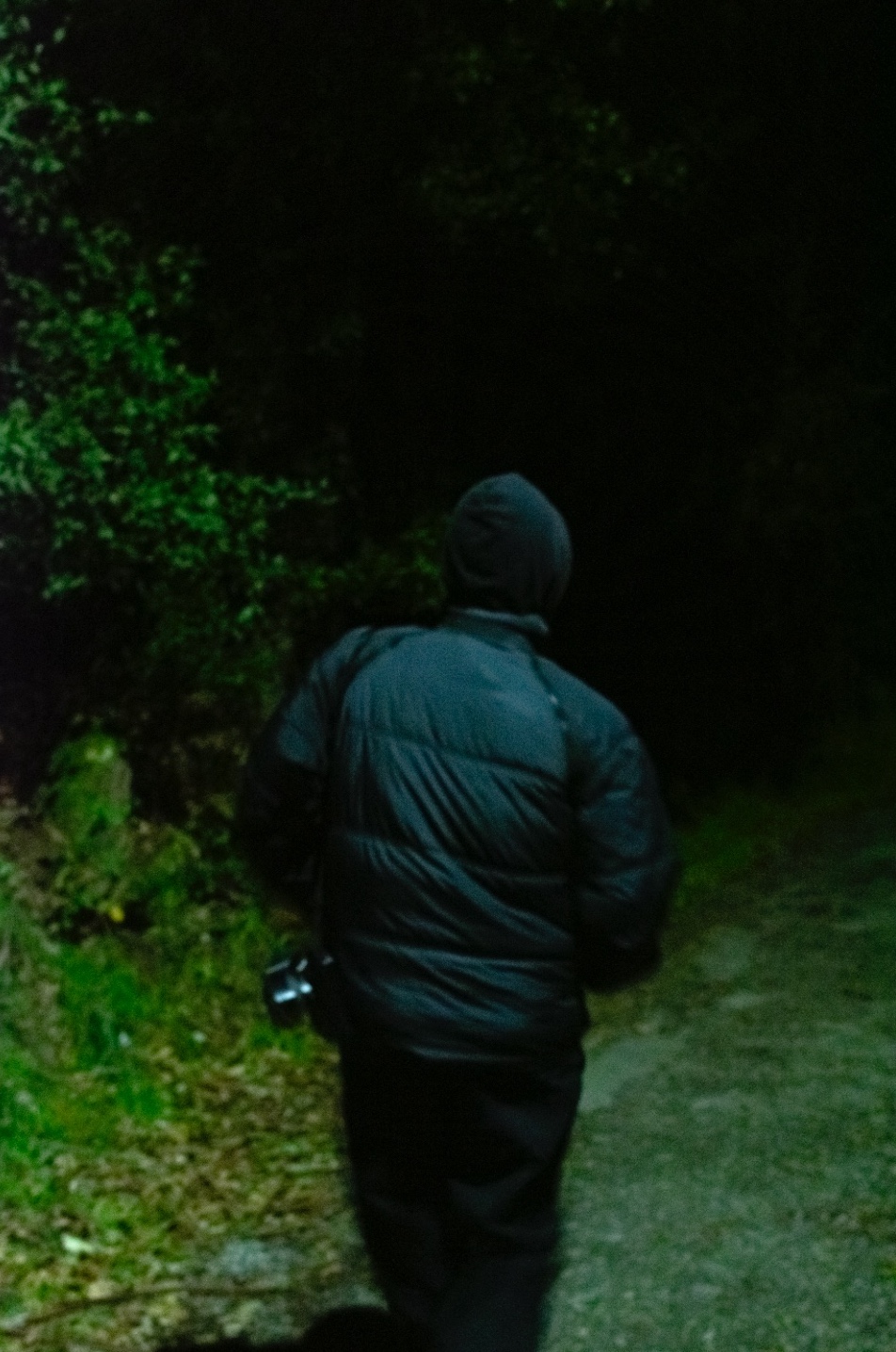 Foto von Pauli Linke