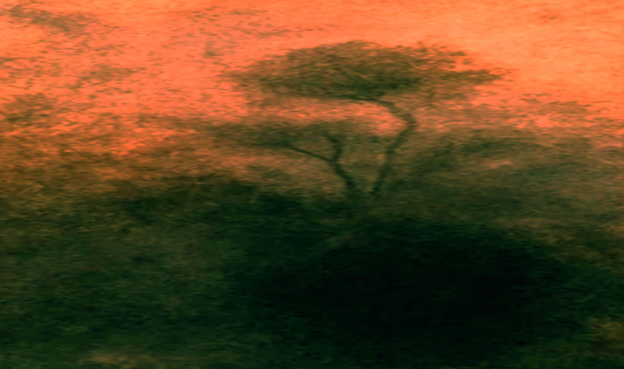 ABSTRACTION I (BAUM) - Emiliano Bartling 1