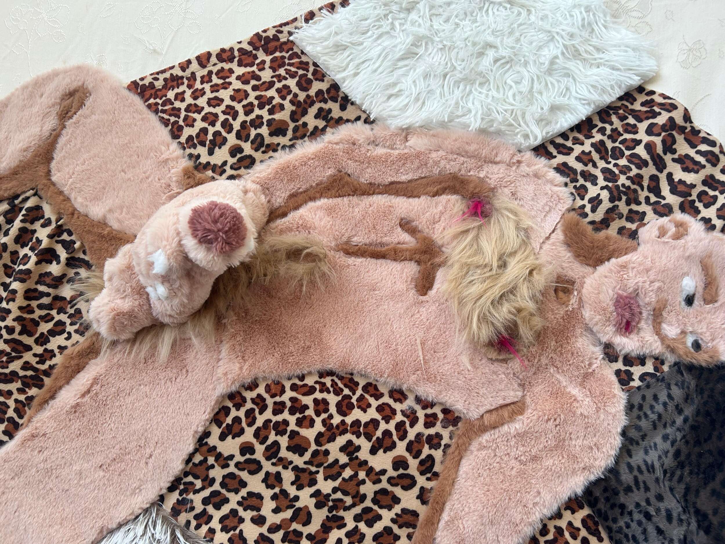 Streichel mich (danke) - Lena Willmann 1