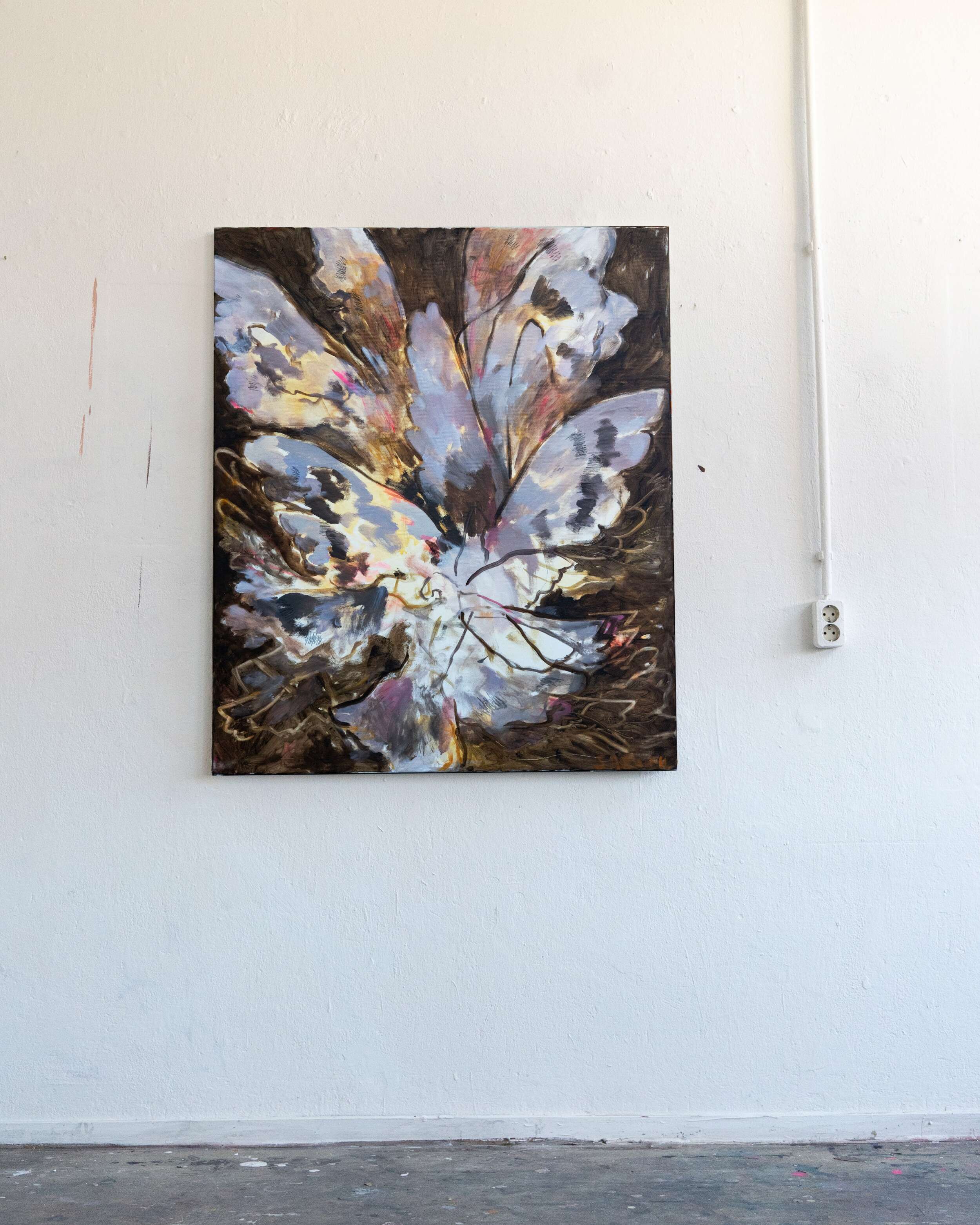 Tauben - Sarah Hischemöller 2