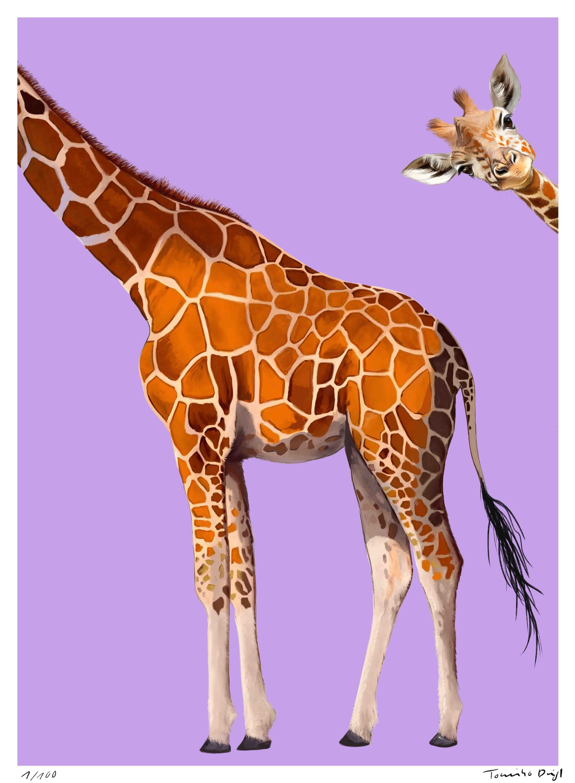 Bonjour Lila! - Toninho Dingl 1