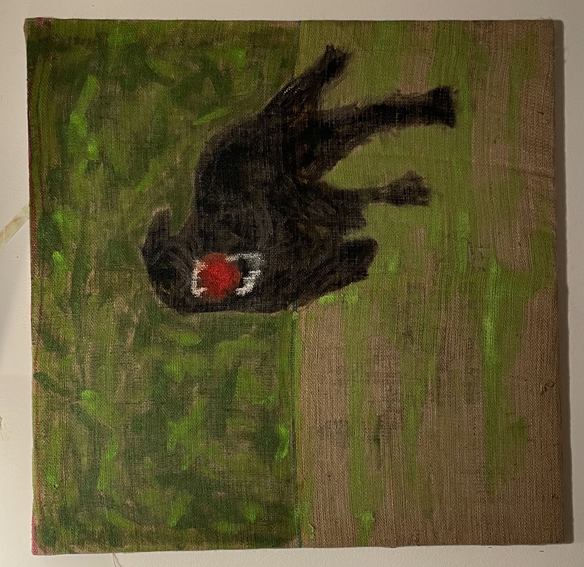 Obsession - Felix Hell 1