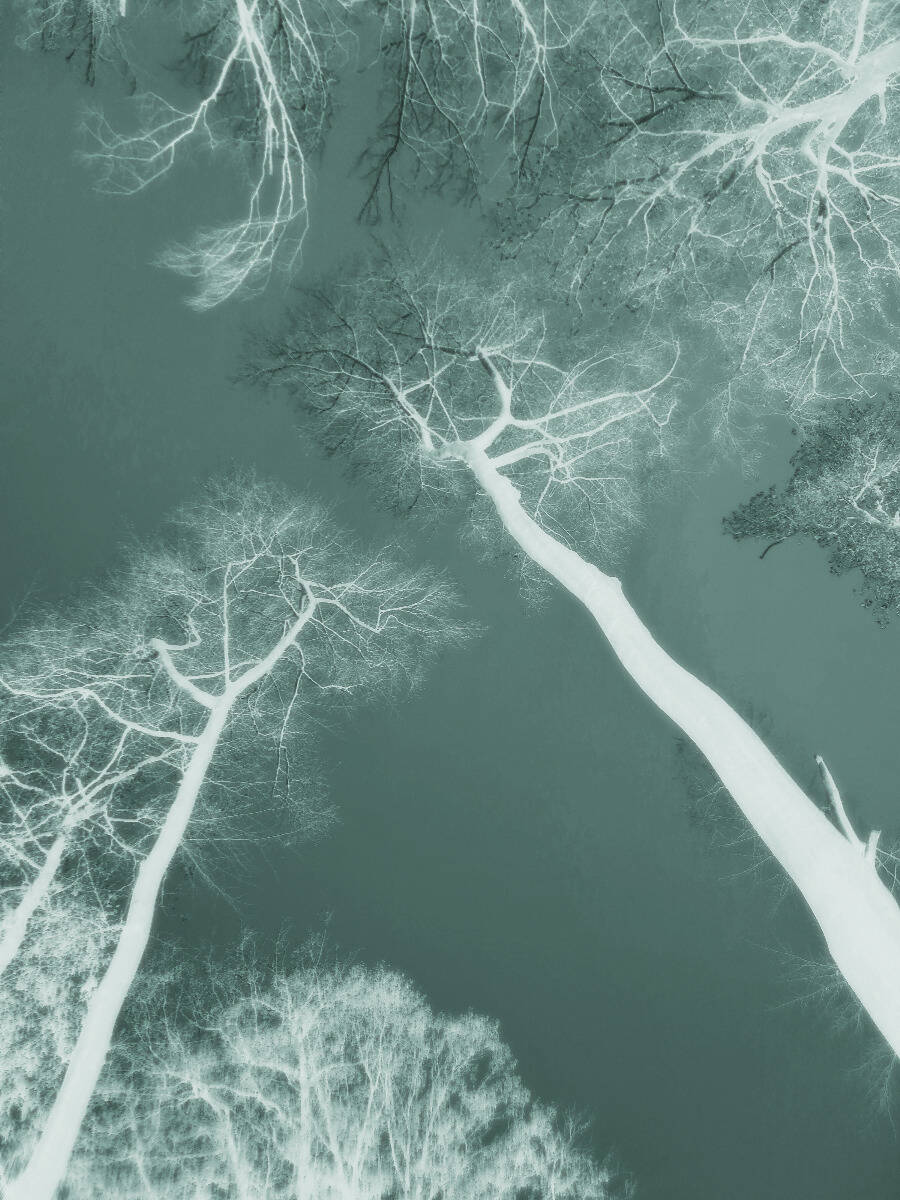 I would like to know how I would be different