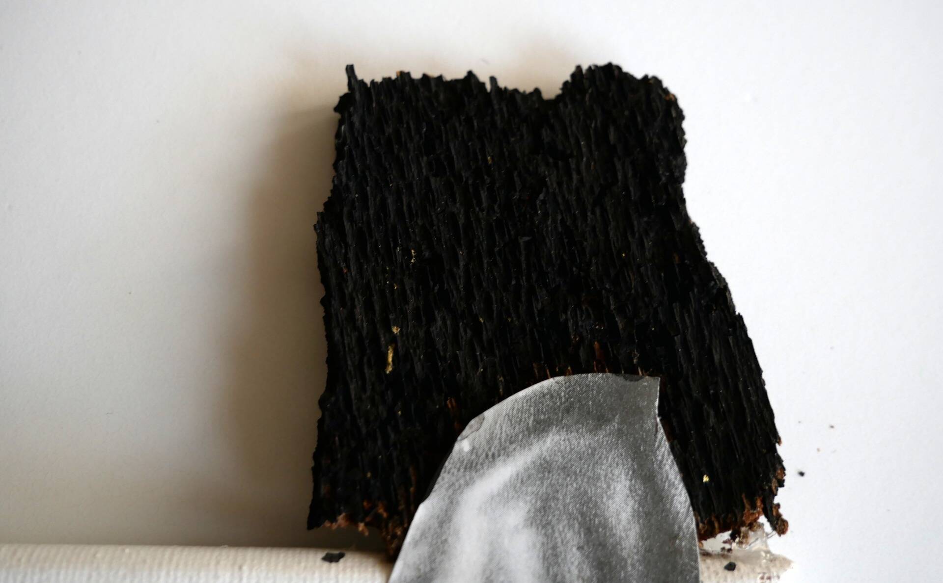 Emperor on the feet of Bigfoot