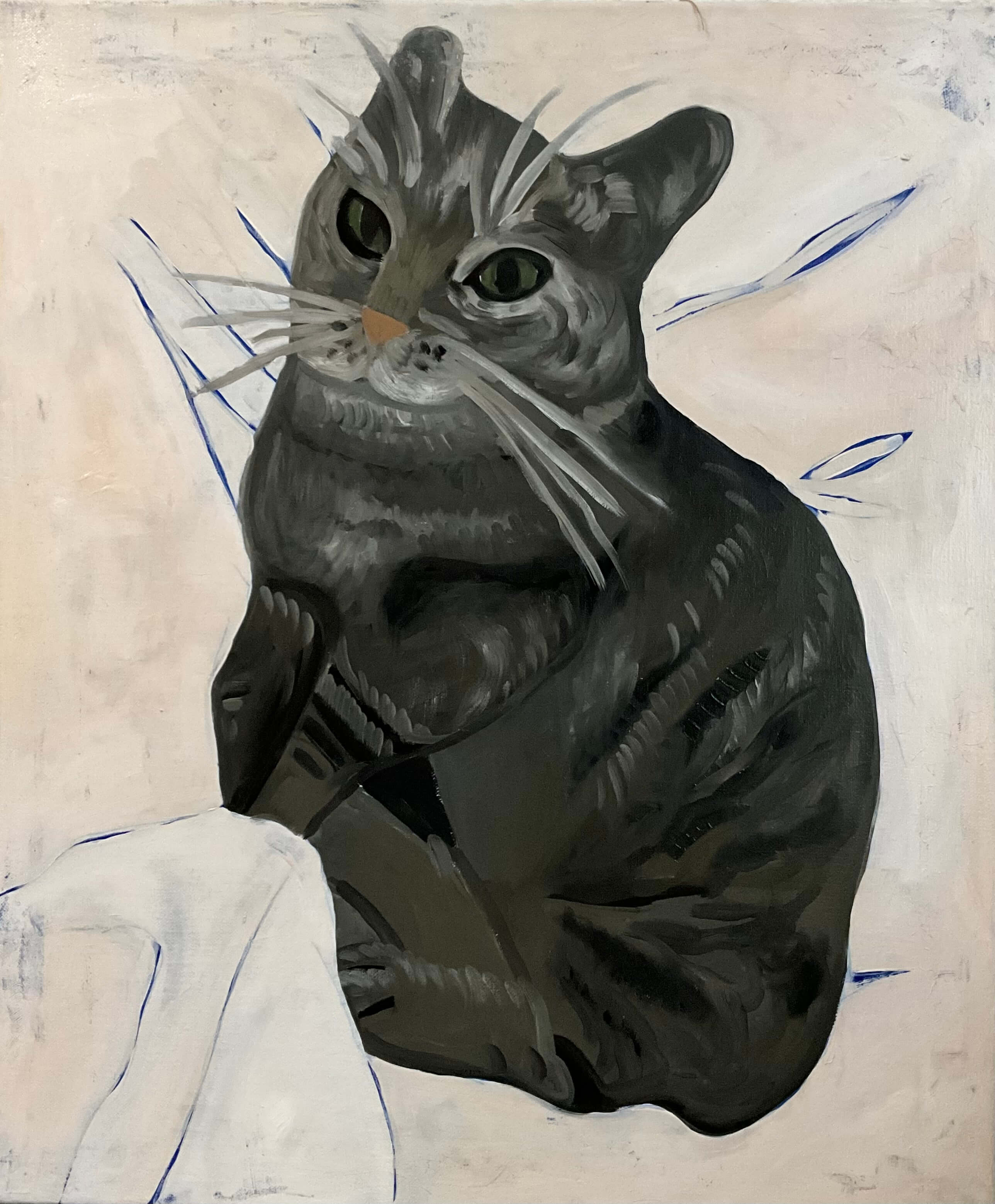 Cat - Leutrim Morina 1