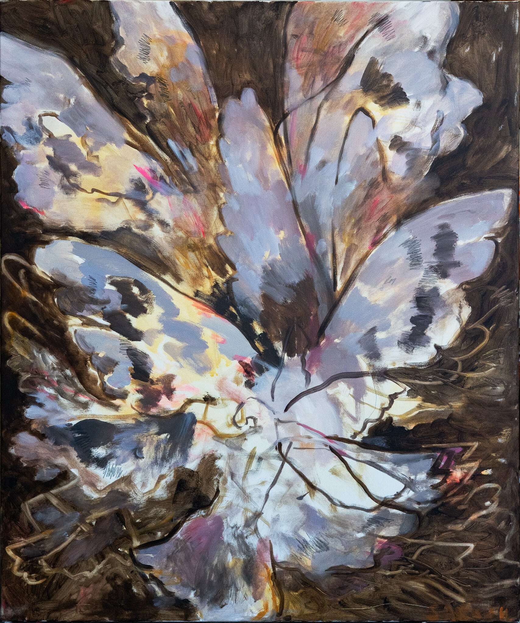 Tauben - Sarah Hischemöller 5