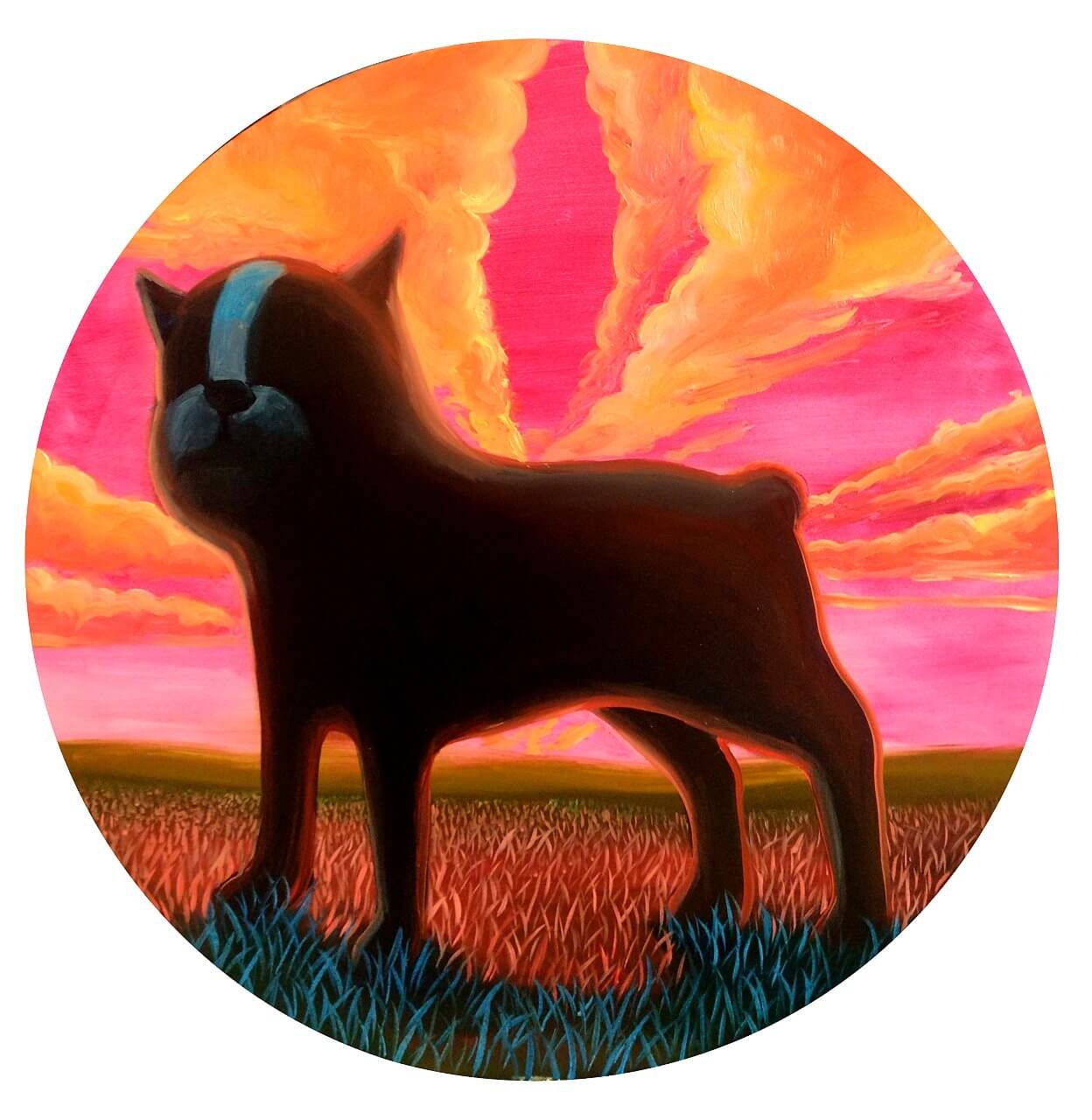 Dodo when sun is going dodown