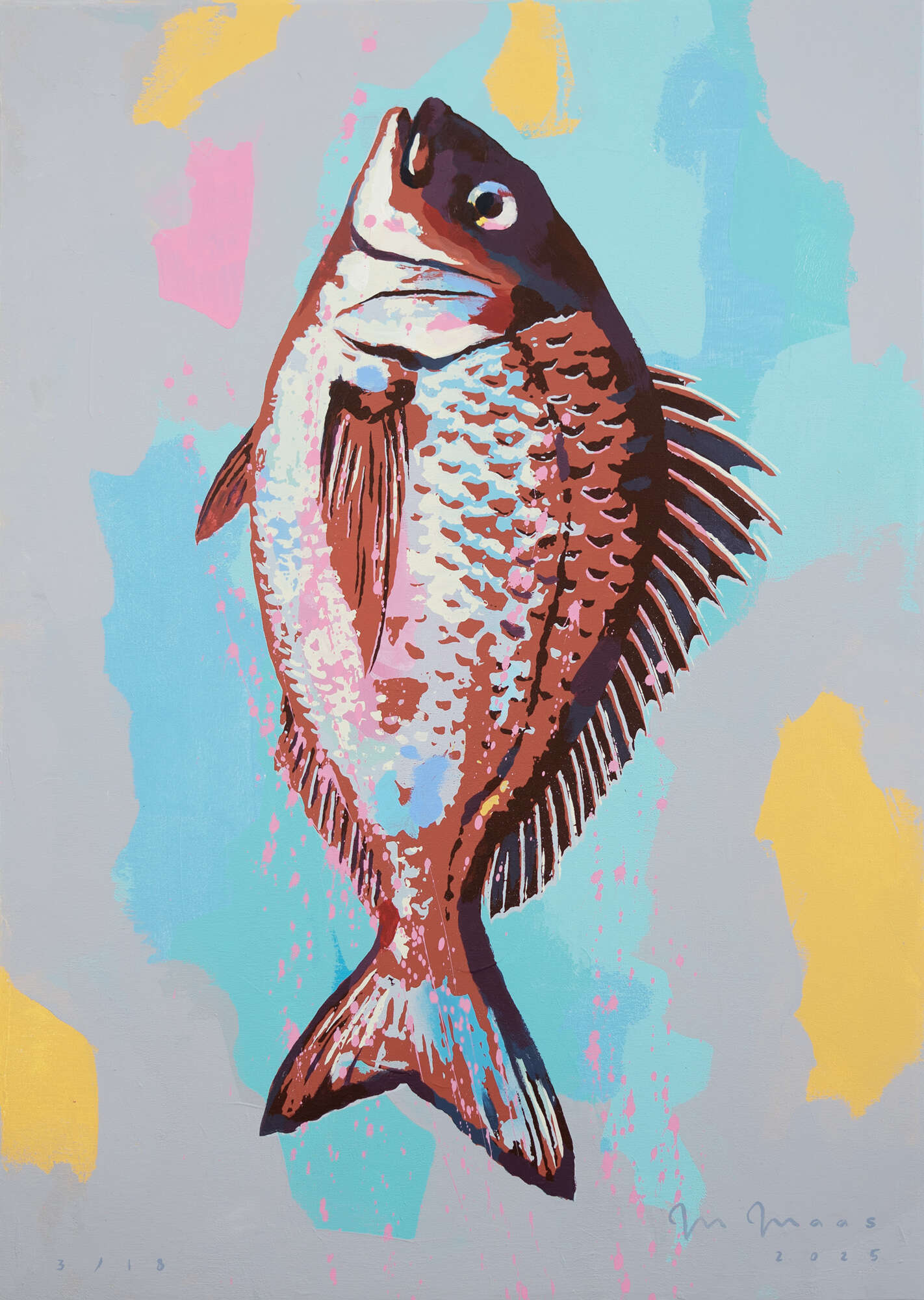 Ein Schwarm Doraden 03 / 18 - Moritz Maas 1