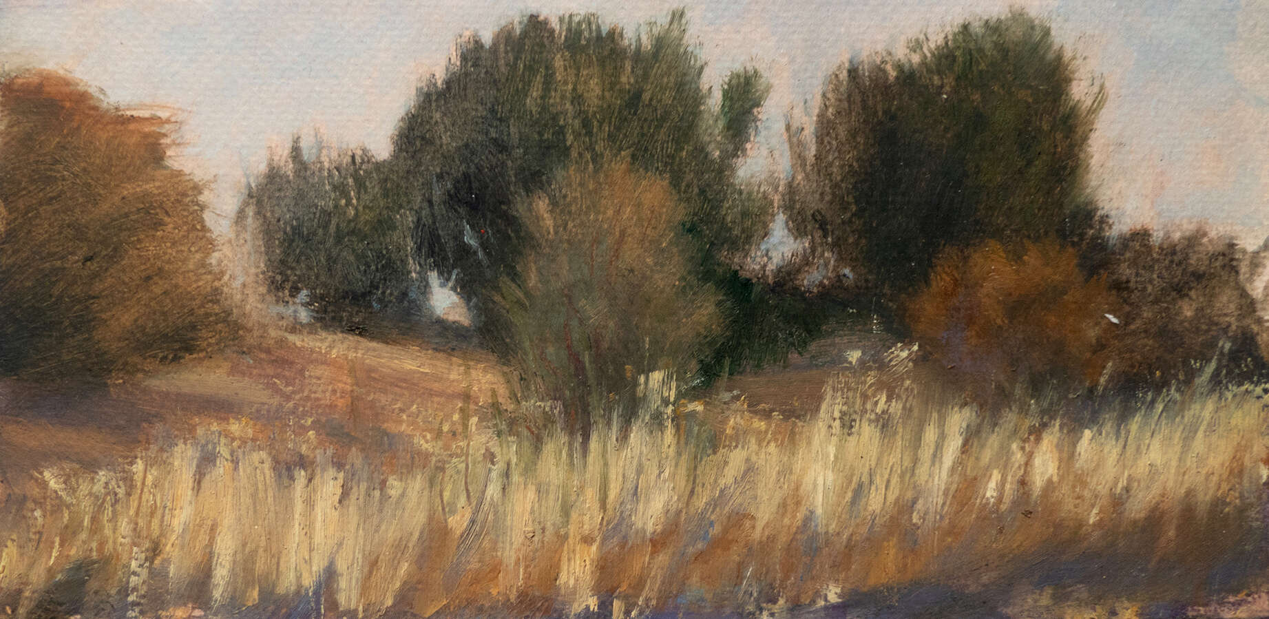 Priego de Córdoba - Jo Failer 3